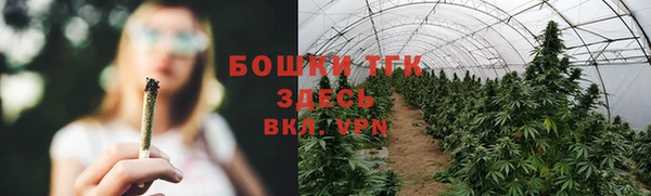 первитин Нягань
